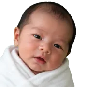 Every stage of life — version 1